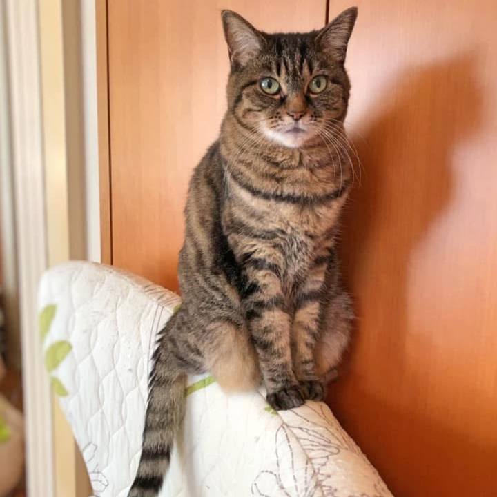 Cc6f3acc 6742 4a18 ac4e 2bbb43508c18 1765679172386