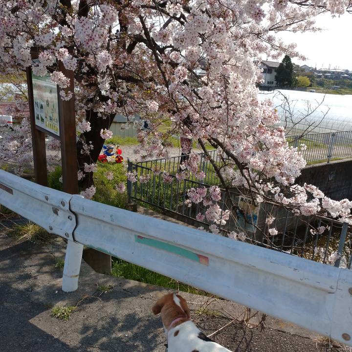 Cc6f4fef 5ec5 4c9b 8a2e 8d4572bf5d20 1586326950448