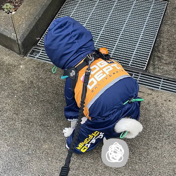 Cc6f5300 c4f9 41a2 991c a6c785f6b749 1761962177825