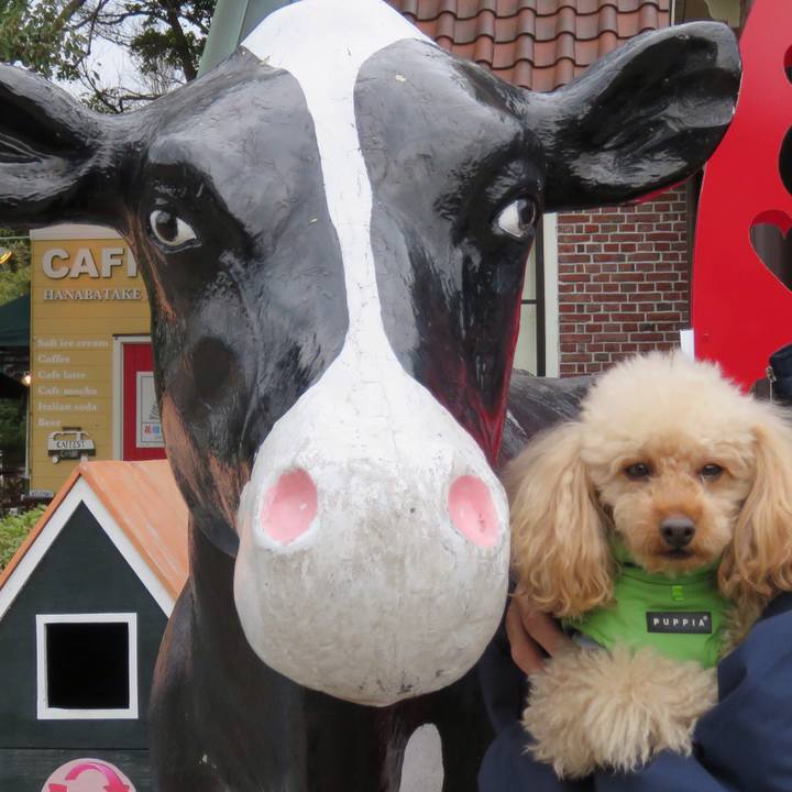 Cc6f55ce e35b 4eca 8a9b 763319dc6f90 1590354092026