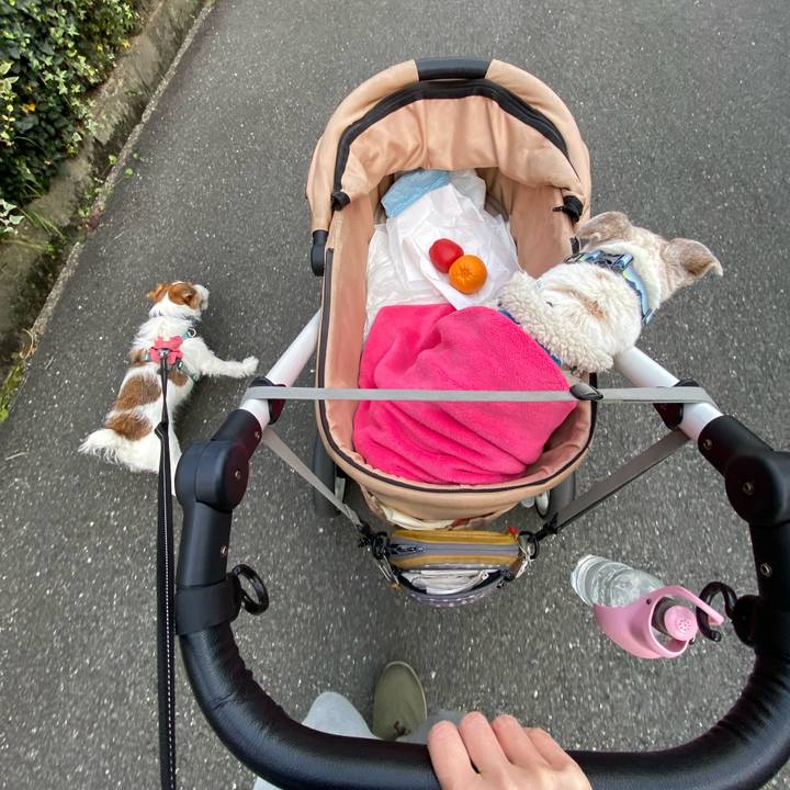 Cc6f5612 6ad1 4661 becd c3a8f6f776d4 1734655120732