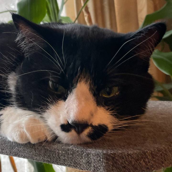 Cc6f6f9e b2d1 4053 af1a bb6ef9833b9b 1752281486182