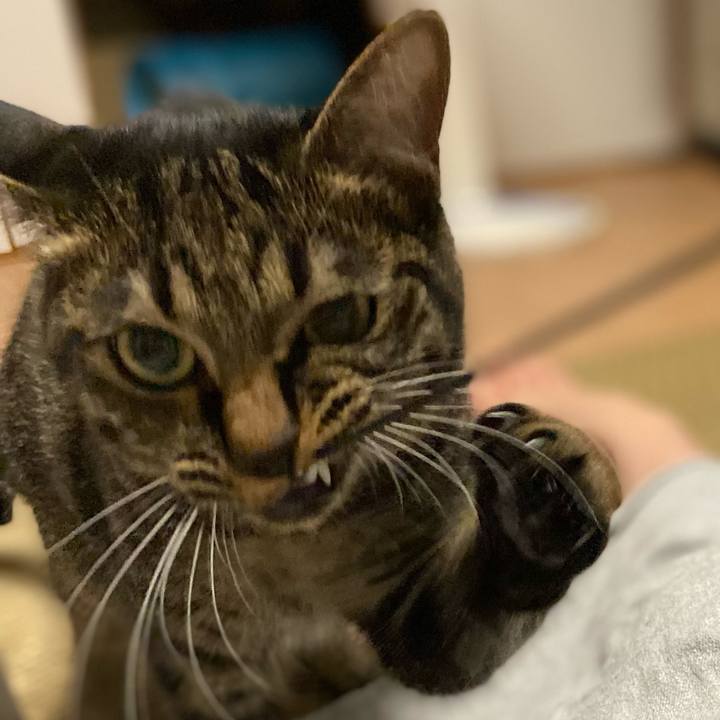 Cc6f93e7 3bd9 4681 a8af 667ef1f1c7d1 1626348541835