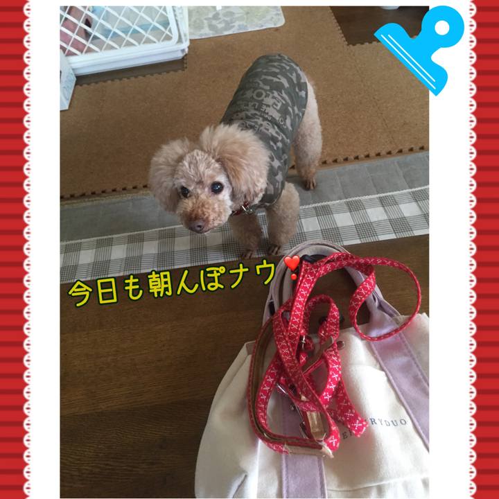 Cc6fa25c 800f 450b 8ba3 543021aeaf1b 1525386986666