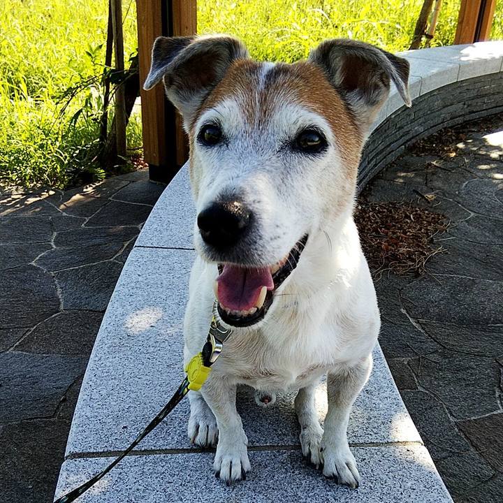 Cc6fd4cf 72b1 4bc8 919b 56930699eebc 1568422152722