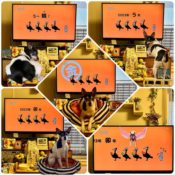 Cc700474 c247 489d a44c 75e37b212c46 1673561150082