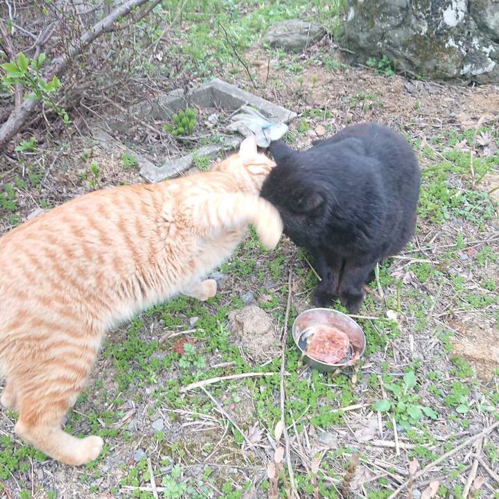 Cc7049e4 5914 4a87 9fa9 00111ced7172 1650805223683