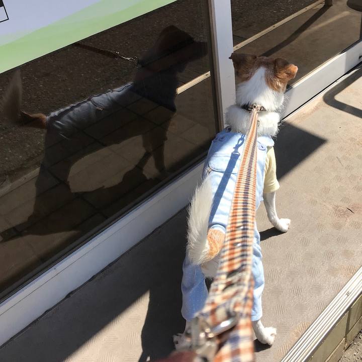 Cc707e13 9ff2 4686 93cd 3a2447b2a2ed 1586486711168