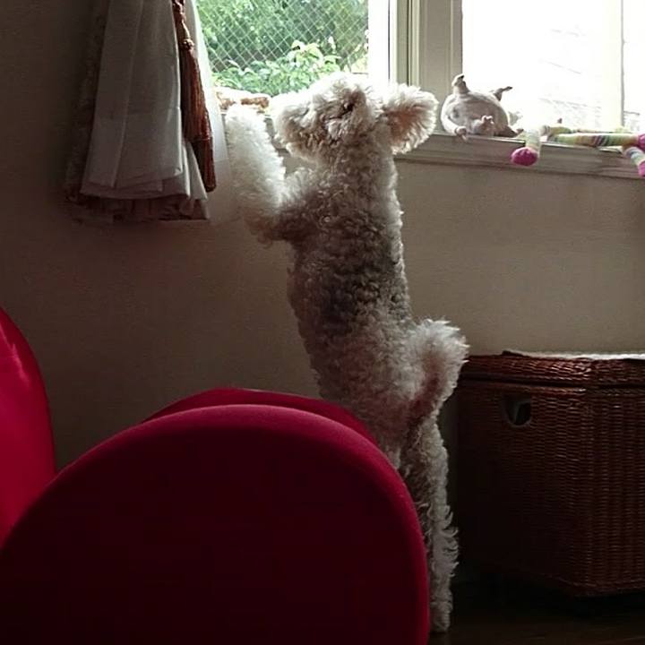 Cc70afcc 6473 405c 8e20 f1adcc991a43 1598055304944