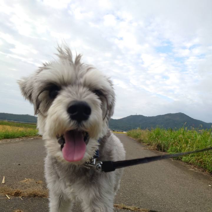 Cc70d51d f7fe 41ec b17e e8213d607139 1759878236841