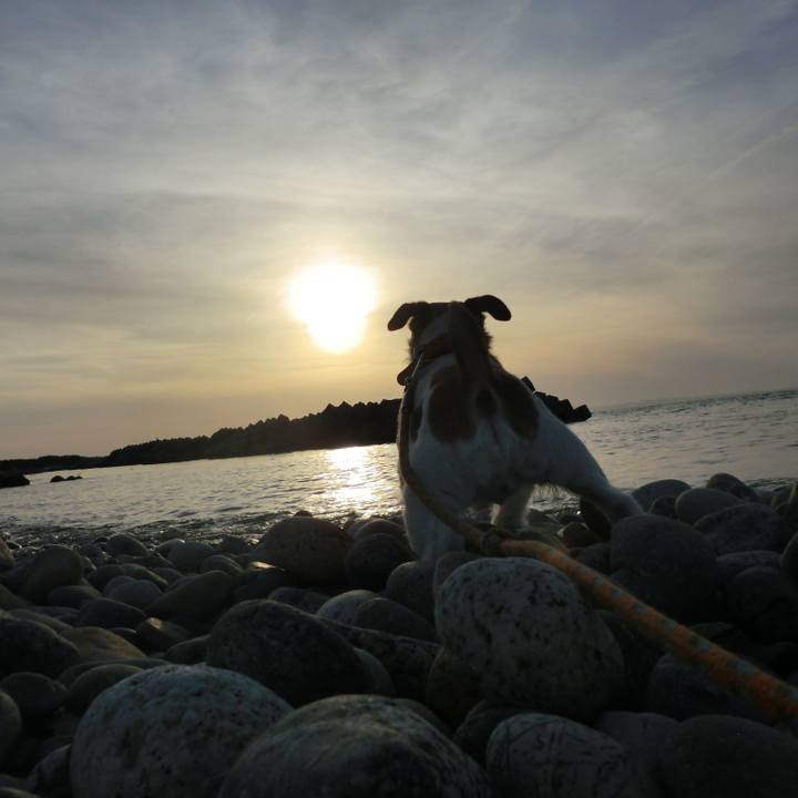 Cc710e48 156f 4bed b068 ae8c0fbfc9d6 1552131664713