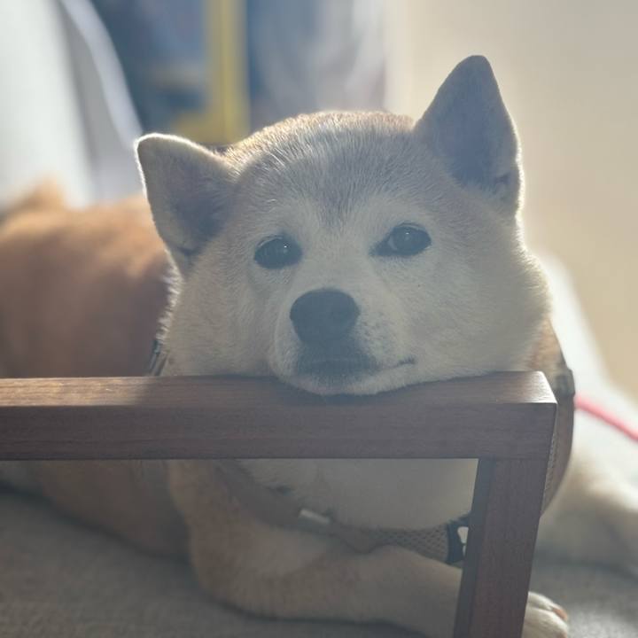 Cc712527 b20d 429b a3e3 071e9f4be220 1752272441509