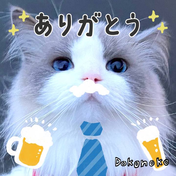 Cc719b7f 02b4 4200 bdd2 46ab26bff0f8 1718049437297