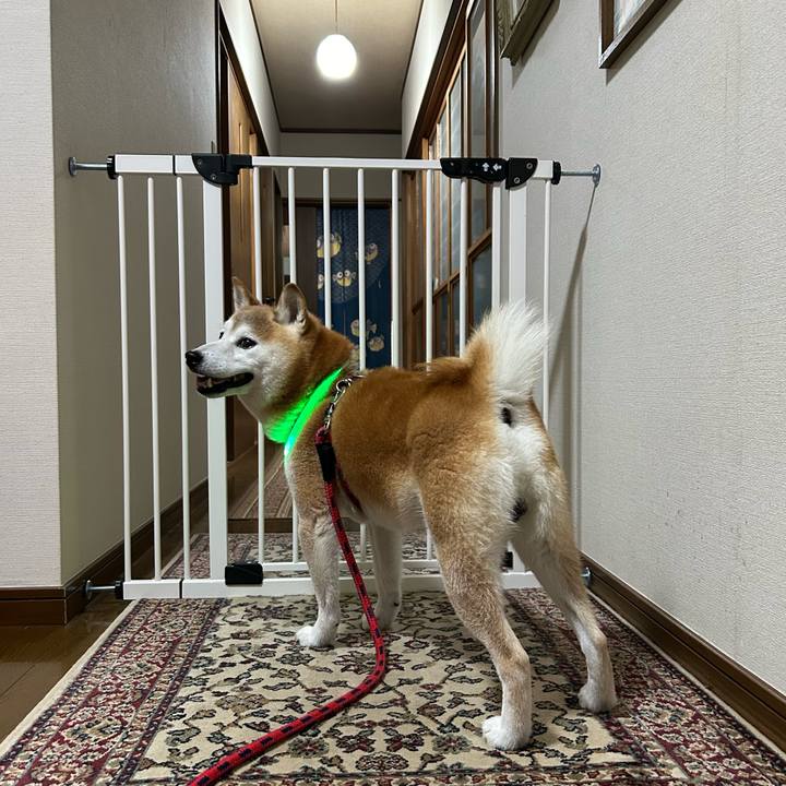 Cc71a8f7 d13f 4d83 bb71 bf71b7eb6e32 1725708107712