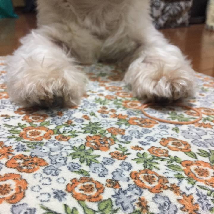 Cc71e384 7a20 4a2c b4ff af0a0ae0209b 1535031447769