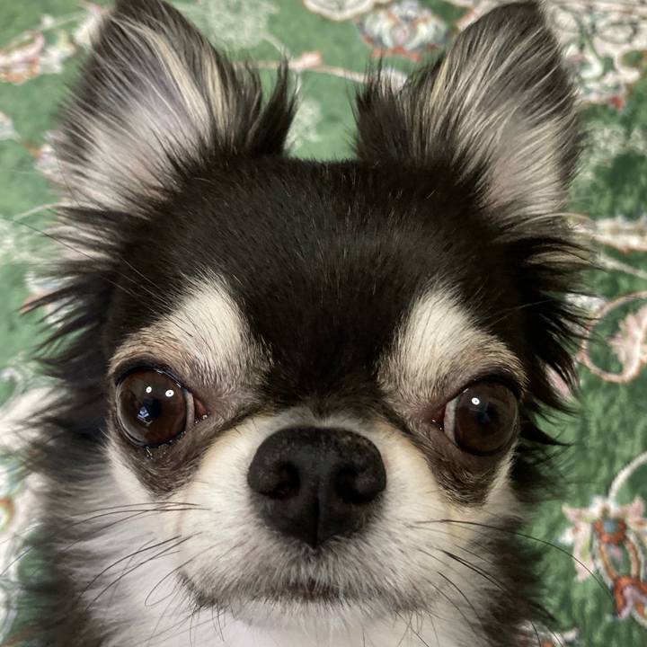 Cc71f014 2442 4e03 abad 3423c5b5f937 1651187343944