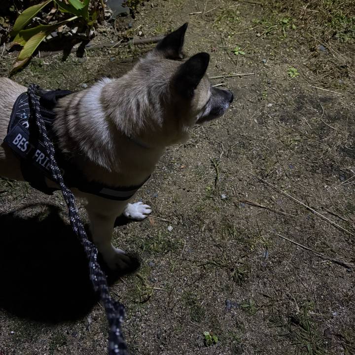 Cc71fcc4 d08b 4dd6 b7bd fdbadf79e69e 1734008827520