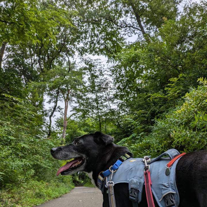 Cc71fd98 26c1 4adb 8e51 881b0659fa9c 1724543369259