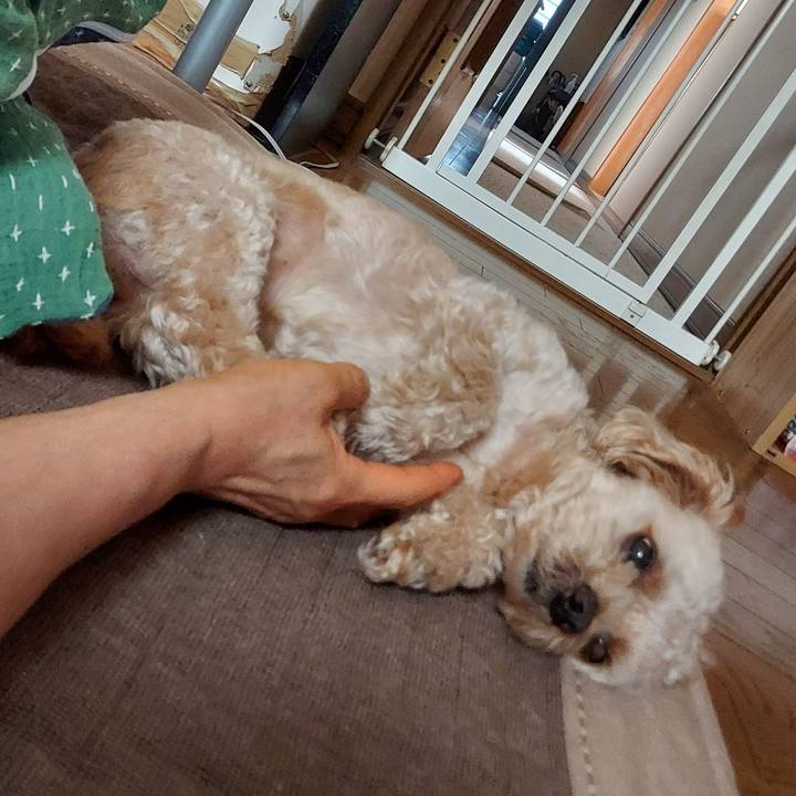 Cc723ccc d631 46a4 b57c b733348aff9a 1626325385072