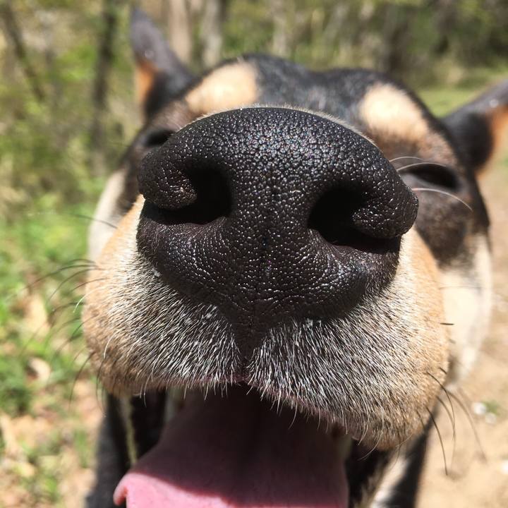 Cc72515d dae9 4be4 8ea5 4e4628559ac4 1523588470815