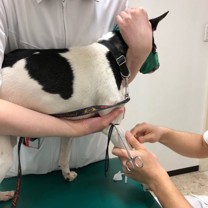 Cc727ba7 1f62 4609 b787 d240dc330542 1521269344136