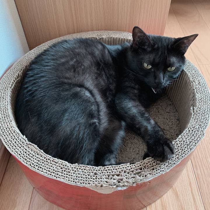 Cc729ca7 6b76 4b7f 8aeb 82cc0b7ea06c 1560131741869