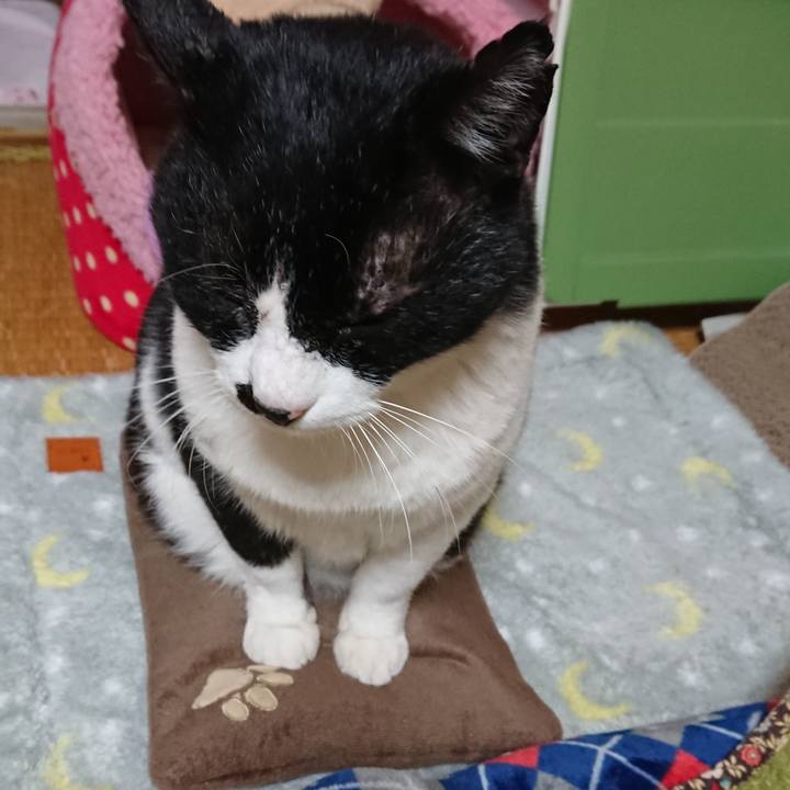 Cc72a2b0 0475 465d 92ca 3616eab9f936 1579175720858