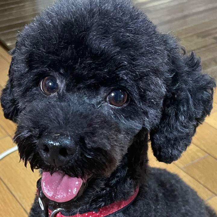 Cc72d055 4e69 4b92 8989 18f33b09f5ad 1632542726779