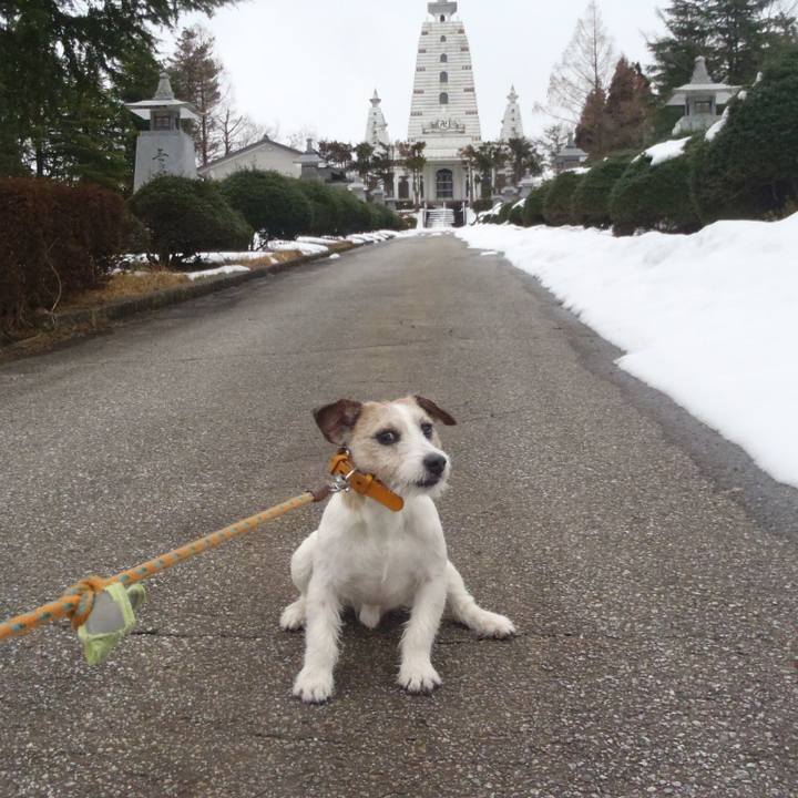 Cc730584 85d2 42c2 9b46 35320bf2297d 1549192428102