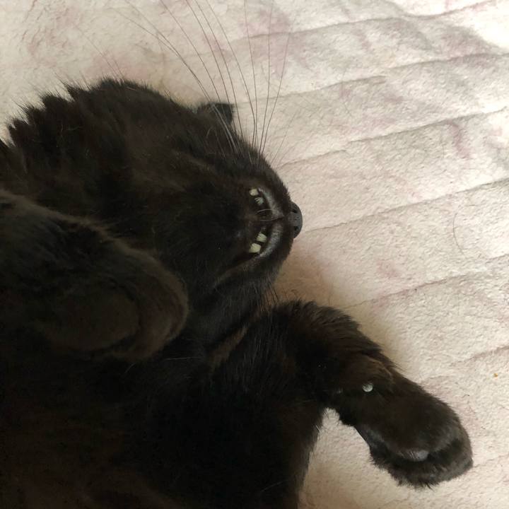 Cc735e44 cada 482e a7a7 1327b6a1f2ee 1563831111077