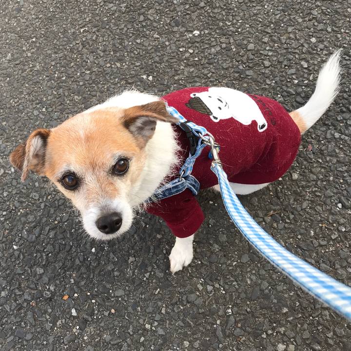 Cc73681e 1ece 4b9f 8a24 788f16ec3463 1607497203217