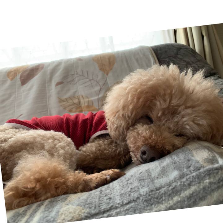 Cc73b36e 3106 4cd7 8d73 55b7a0c75566 1592033165695