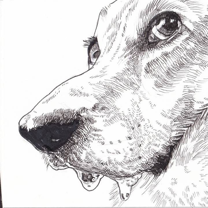 Cc73bd84 417b 4d69 b8f1 4bdc4092fbdd 1741405023985