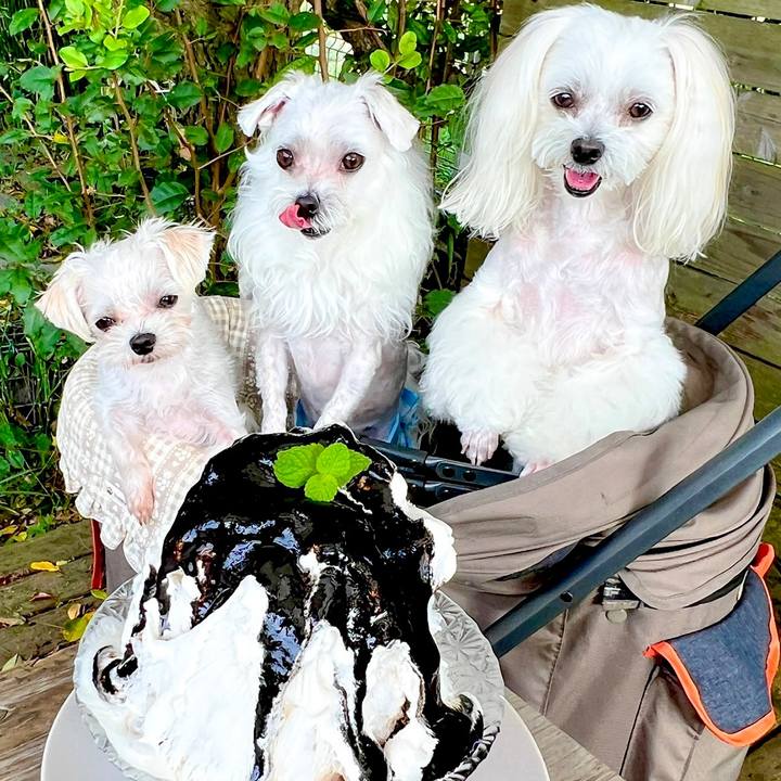 Cc73d5a9 b212 4ced 830e 533c7018f40d 1696167742566