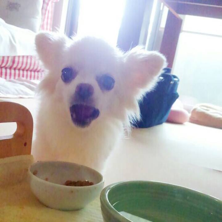 Cc73f9c8 2328 4dba b479 e77ebbe6bcc0 1529528295977