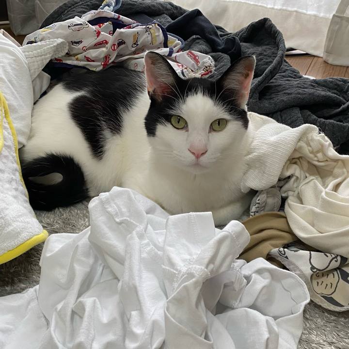 Cc7402f5 7fae 499e 9fb4 00bfc802f195 1647496277109