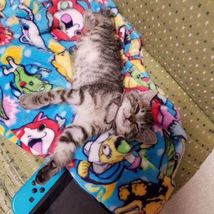 Cc744b86 f81b 4d9a 9063 722d08e05009 1661698266033