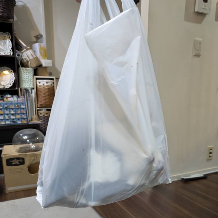 Cc74bdc2 0001 4aa9 b989 813d4fd01c33 1772377129080