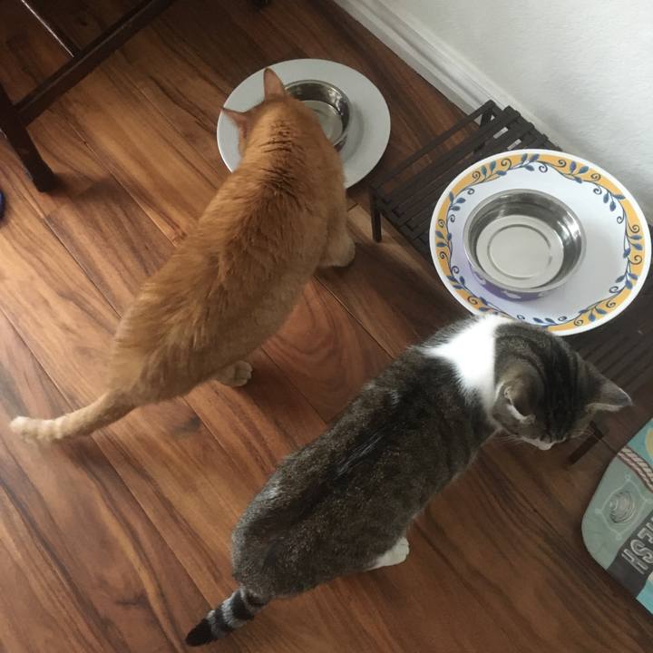 Cc752bec 98b3 4140 b766 6fa1cbc42afc 1661474841695