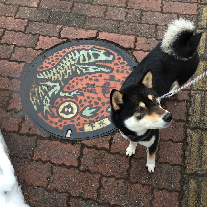 Cc753bd7 aa4b 471e 823f c244b1539c45 1519510366455