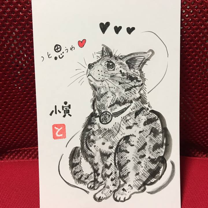 Cc754c9d b7c5 4e18 96d1 b7e6cebb3a68 1556047449108