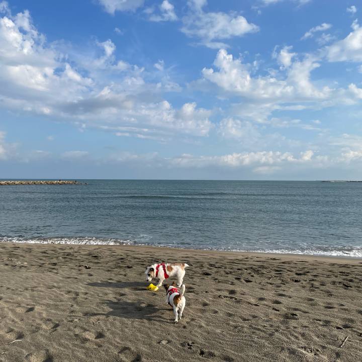 Cc75555d 1547 42c7 9c86 516d41aa23d6 1666482358230