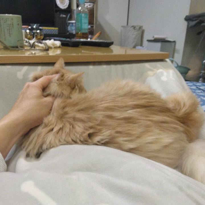 Cc75704d e06c 4a60 aa67 5433c06588c5 1705321776410