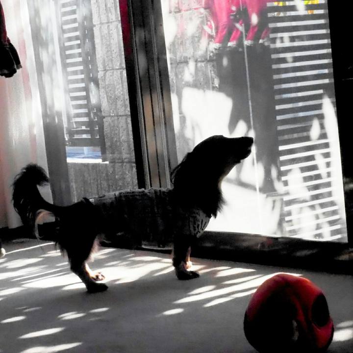 Cc758566 f7d7 403f b3f7 0510dc1d71c4 1542422133435