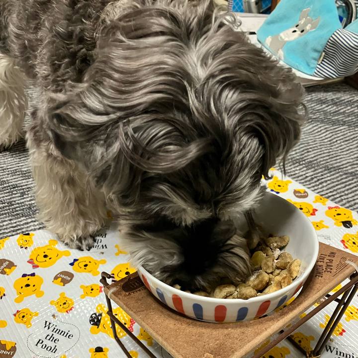 Cc75e077 27a0 47e9 ab0c 9052e915abe2 1772062161933