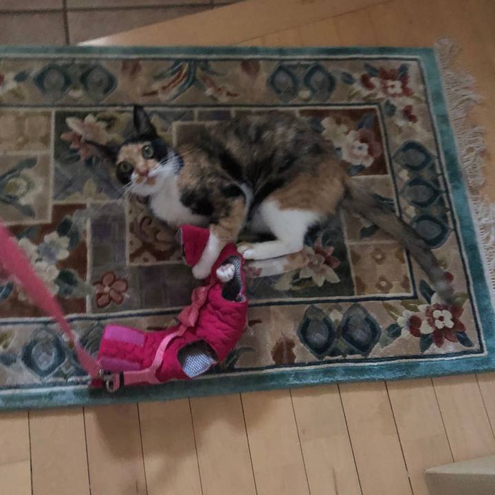 Cc75e1c5 daa8 4c1b a78d 41015c58c631 1562491224939