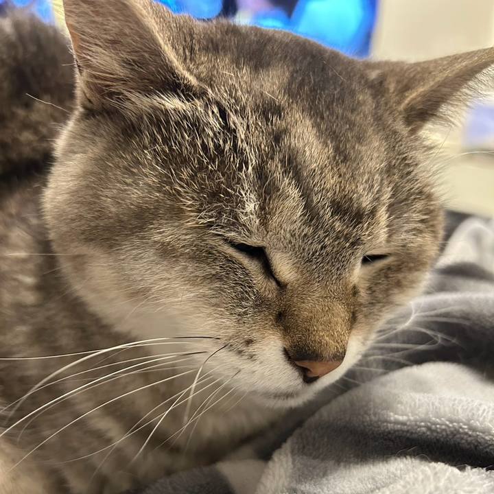 Cc7628ad dc1f 4d5e 8d76 ab1c6db6da8f 1765236410830