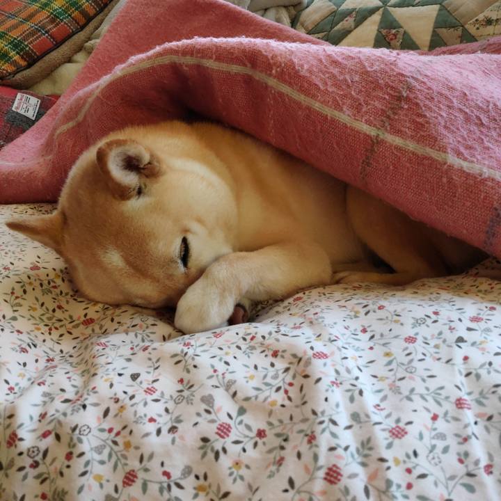 Cc76510b 7b85 422e 9509 29b3ea6c1f1c 1645055041302