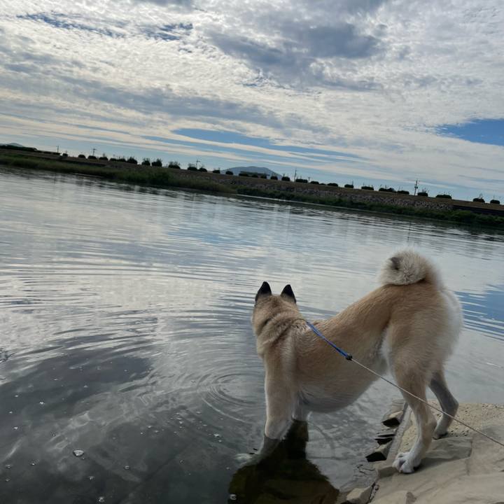 Cc766c67 878c 4c59 805a 89460b72d37e 1693744532593