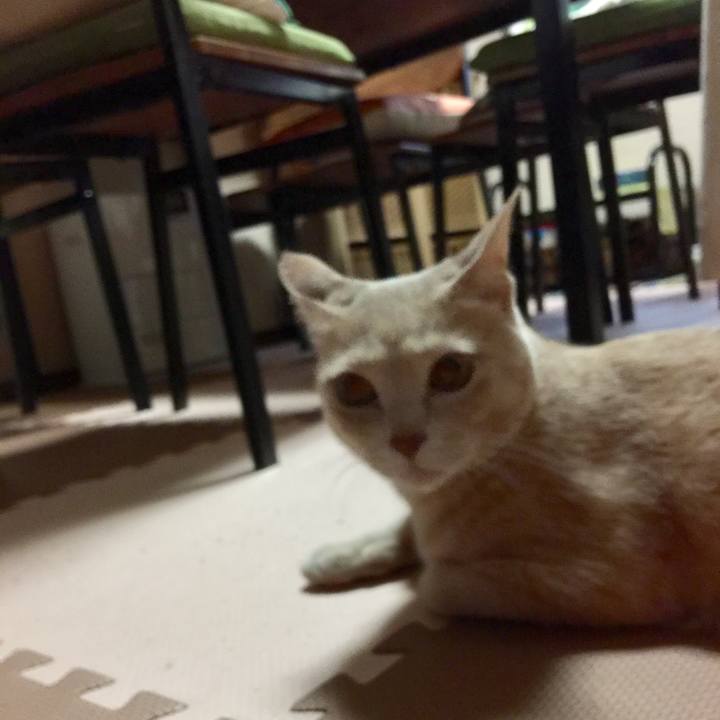 Cc76d5e1 e0b8 4169 92c4 a678ff09bccb 1570866431432